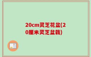 20cm灵芝花盆(20厘米灵芝盆栽)