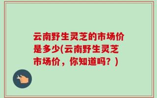 云南野生灵芝的市场价是多少(云南野生灵芝市场价，你知道吗？)