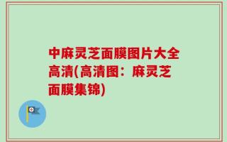 中麻灵芝面膜图片大全高清(高清图：麻灵芝面膜集锦)
