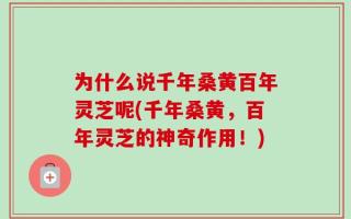 为什么说千年桑黄百年灵芝呢(千年桑黄，百年灵芝的神奇作用！)