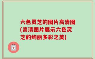 六色灵芝的图片高清图(高清图片展示六色灵芝的绚丽多彩之美)