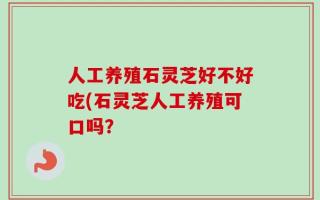 人工养殖石灵芝好不好吃(石灵芝人工养殖可口吗？
