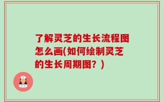 了解灵芝的生长流程图怎么画(如何绘制灵芝的生长周期图？)