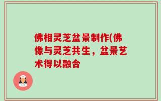 佛相灵芝盆景制作(佛像与灵芝共生，盆景艺术得以融合