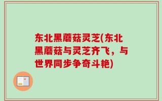 东北黑蘑菇灵芝(东北黑蘑菇与灵芝齐飞，与世界同步争奇斗艳)