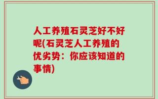 人工养殖石灵芝好不好呢(石灵芝人工养殖的优劣势：你应该知道的事情)