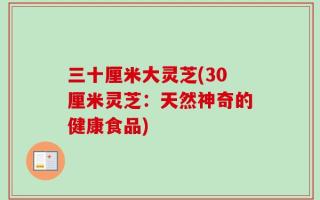 三十厘米大灵芝(30厘米灵芝：天然神奇的健康食品)