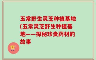 五常野生灵芝种植基地(五常灵芝野生种植基地——探秘珍贵药材的故事