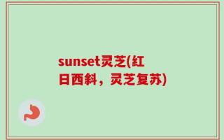 sunset灵芝(红日西斜，灵芝复苏)