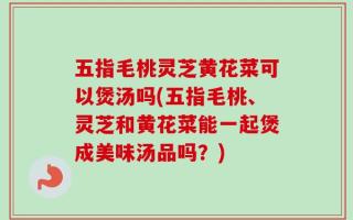 五指毛桃灵芝黄花菜可以煲汤吗(五指毛桃、灵芝和黄花菜能一起煲成美味汤品吗？)