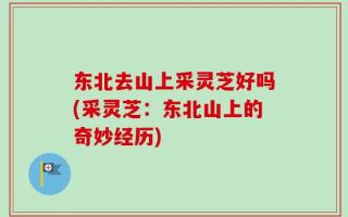 东北去山上采灵芝好吗(采灵芝：东北山上的奇妙经历)