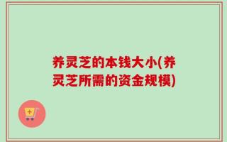 养灵芝的本钱大小(养灵芝所需的资金规模)