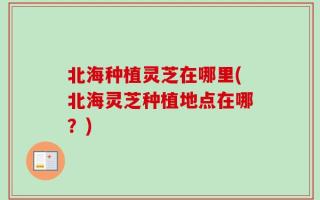 北海种植灵芝在哪里(北海灵芝种植地点在哪？)