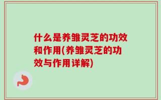 什么是养雏灵芝的功效和作用(养雏灵芝的功效与作用详解)