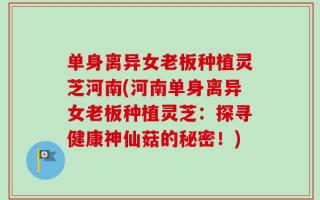 单身离异女老板种植灵芝河南(河南单身离异女老板种植灵芝：探寻健康神仙菇的秘密！)
