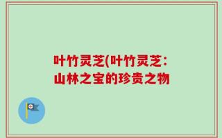 叶竹灵芝(叶竹灵芝：山林之宝的珍贵之物