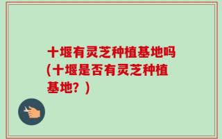 十堰有灵芝种植基地吗(十堰是否有灵芝种植基地？)