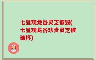 七星观龙谷灵芝被毁(七星观龙谷珍贵灵芝被破坏)
