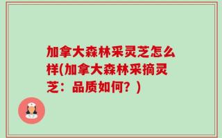 加拿大森林采灵芝怎么样(加拿大森林采摘灵芝：品质如何？)