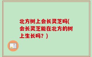 北方树上会长灵芝吗(会长灵芝能在北方的树上生长吗？)