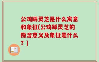 公鸡踩灵芝是什么寓意和象征(公鸡踩灵芝的隐含意义及象征是什么？)