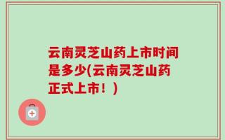 云南灵芝山药上市时间是多少(云南灵芝山药正式上市！)