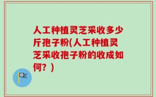 人工种植灵芝采收多少斤孢子粉(人工种植灵芝采收孢子粉的收成如何？)
