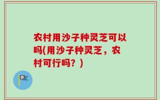 农村用沙子种灵芝可以吗(用沙子种灵芝，农村可行吗？)