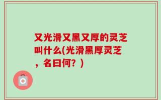又光滑又黑又厚的灵芝叫什么(光滑黑厚灵芝，名曰何？)