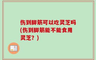 伤到脚筋可以吃灵芝吗(伤到脚筋能不能食用灵芝？)