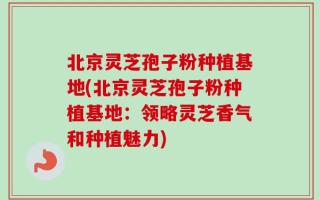 北京灵芝孢子粉种植基地(北京灵芝孢子粉种植基地：领略灵芝香气和种植魅力)