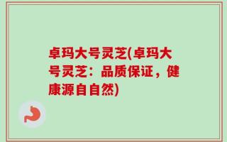 卓玛大号灵芝(卓玛大号灵芝：品质保证，健康源自自然)