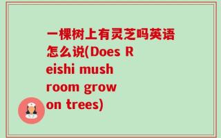一棵树上有灵芝吗英语怎么说(Does Reishi mushroom grow on trees)