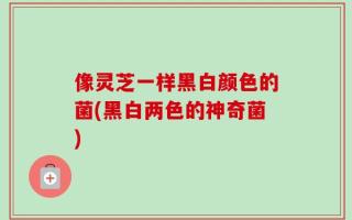 像灵芝一样黑白颜色的菌(黑白两色的神奇菌)