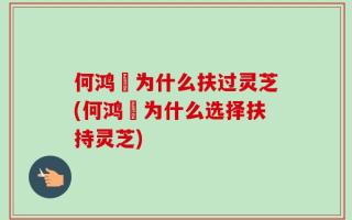 何鸿燊为什么扶过灵芝(何鸿燊为什么选择扶持灵芝)