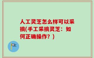 人工灵芝怎么样可以采摘(手工采摘灵芝：如何正确操作？)