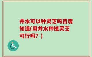 井水可以种灵芝吗百度知道(用井水种植灵芝可行吗？)