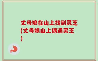 丈母娘在山上找到灵芝(丈母娘山上偶遇灵芝)