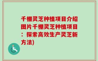 千棚灵芝种植项目介绍图片千棚灵芝种植项目：探索高效生产灵芝新方法)
