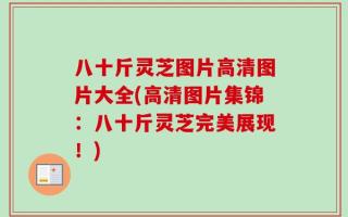 八十斤灵芝图片高清图片大全(高清图片集锦：八十斤灵芝完美展现！)