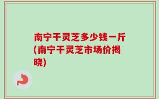 南宁干灵芝多少钱一斤(南宁干灵芝市场价揭晓)