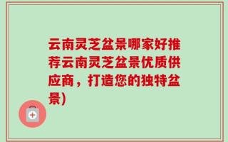 云南灵芝盆景哪家好推荐云南灵芝盆景优质供应商，打造您的独特盆景)