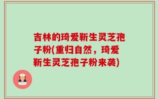 吉林的琦爱靳生灵芝孢子粉(重归自然，琦爱靳生灵芝孢子粉来袭)