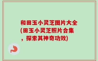 和田玉小灵芝图片大全(田玉小灵芝照片合集，探索其神奇功效)