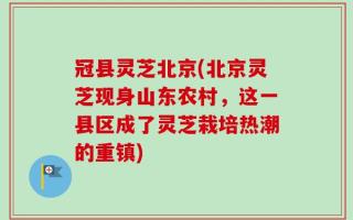 冠县灵芝北京(北京灵芝现身山东农村，这一县区成了灵芝栽培热潮的重镇)