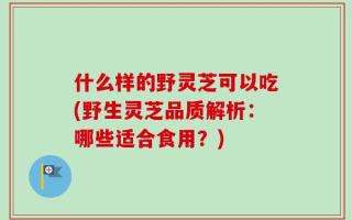什么样的野灵芝可以吃(野生灵芝品质解析：哪些适合食用？)