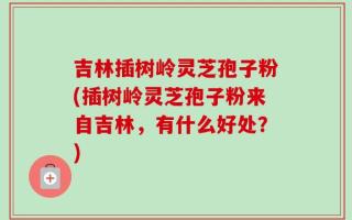 吉林插树岭灵芝孢子粉(插树岭灵芝孢子粉来自吉林，有什么好处？)