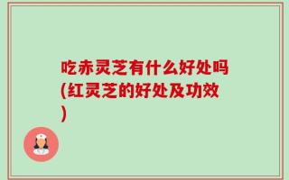 吃赤灵芝有什么好处吗(红灵芝的好处及功效)