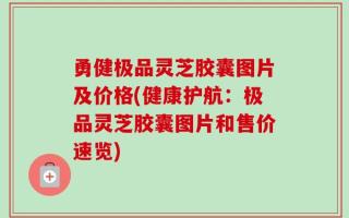 勇健极品灵芝胶囊图片及价格(健康护航：极品灵芝胶囊图片和售价速览)