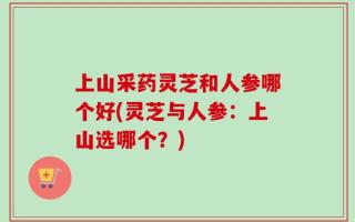 上山采药灵芝和人参哪个好(灵芝与人参：上山选哪个？)